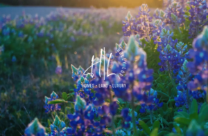 Discover The Orchard Ridge Neighborhood In Liberty Hill, TX
