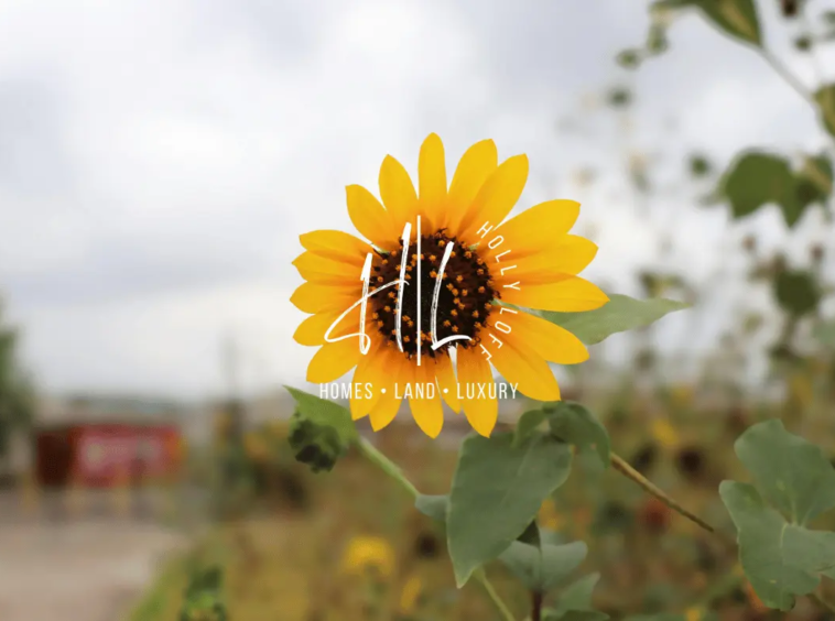 What It’s Like To Live In Leander, Texas