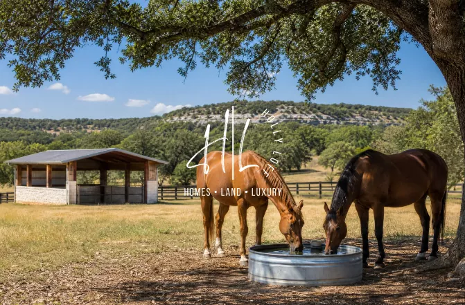 Beating The Central Texas Heat: Water and Shade Solutions For Your Horse Property